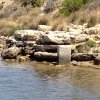 Marsala_2012 (279)